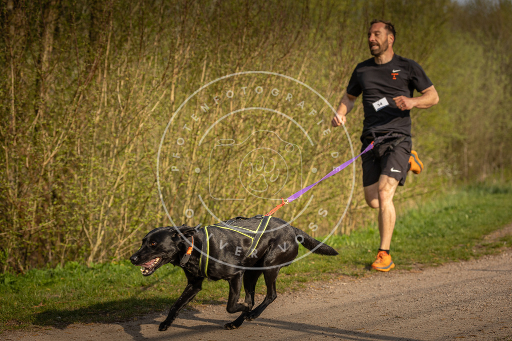 Pfotenfotografie_DV3A4636 | Hundefotografie, Tierfotograf, Pfotenfotografie, Fotoshooting Hund, Hunde Portrait, Hundesport, Hundeportraits, Heideshooting, Hunde, Sportfotograf, Hundefotograf, Turnierhundsport, THS,  - Realisiert mit Pictrs.com