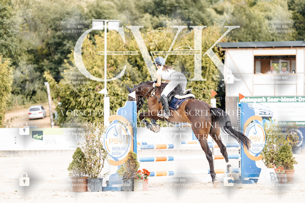CK908909 | Turnierfotografie Pferdefotografie Trier Rheinland-Pfalz Pferdesport Reitsport Tierfotografie Sportfotografie Pferdevideo Pferdevideografie Equestrianvideography equestrianphotography  - Realisiert mit Pictrs.com