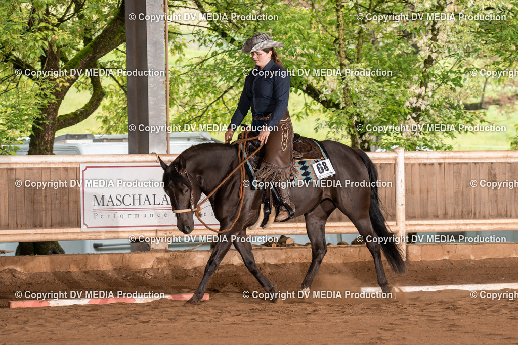 Erbach Tag 2-506 | dv-media-shop - Realisiert mit Pictrs.com