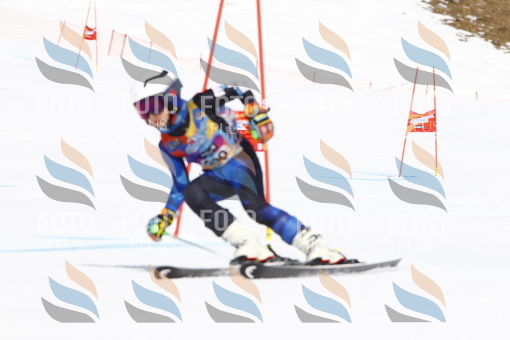 _U3G5398 | holidayphoto