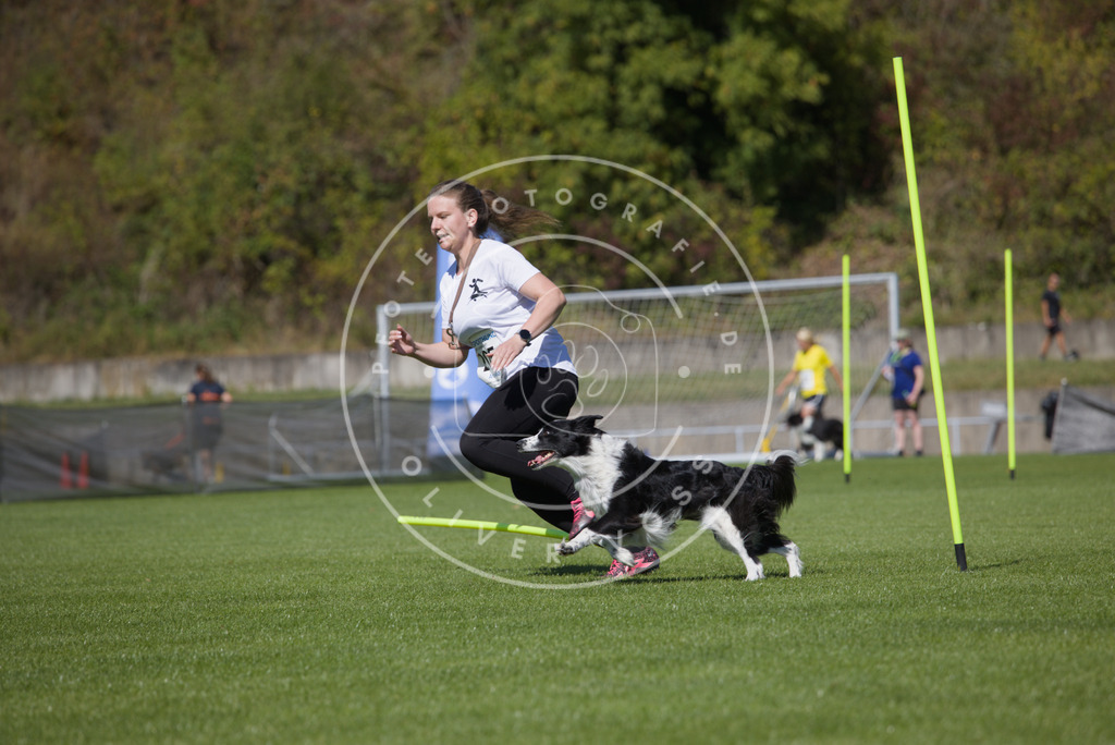 0L8A5822 | Hundefotografie, Tierfotograf, Pfotenfotografie, Fotoshooting Hund, Hunde Portrait, Hundesport, Hundeportraits, Heideshooting, Hunde, Sportfotograf, Hundefotograf, Turnierhundsport, THS,  - Realisiert mit Pictrs.com