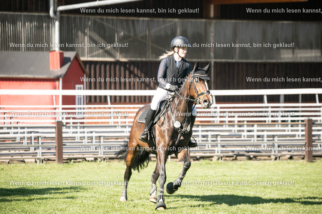 598A6341 | photographylinaismer - Realisiert mit Pictrs.com
