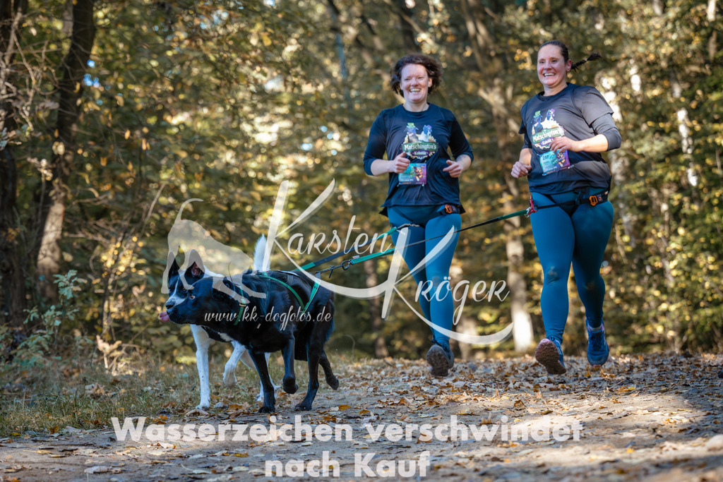 1049_ZZ91005 | kk-dogfotos