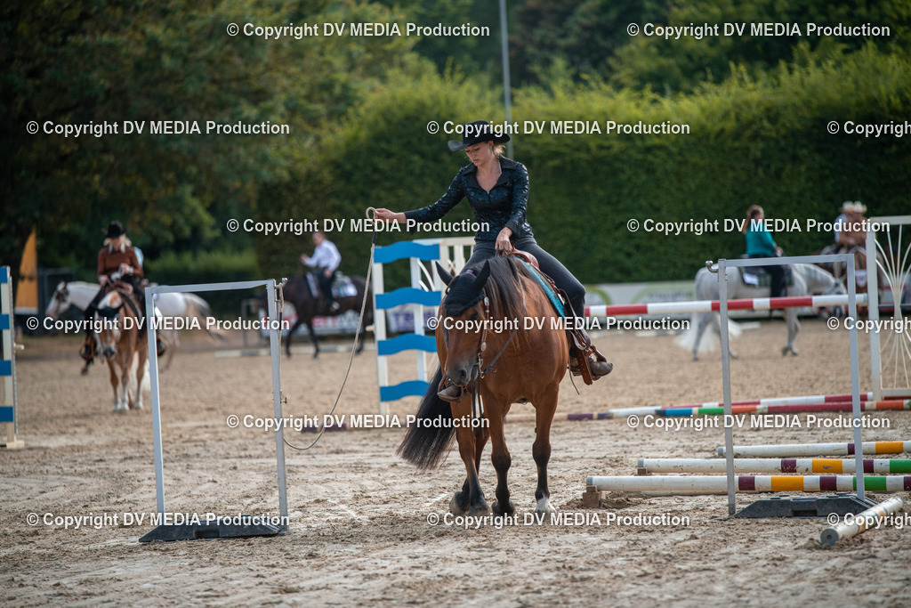 ZS3_9129 | dv-media-shop - Realisiert mit Pictrs.com