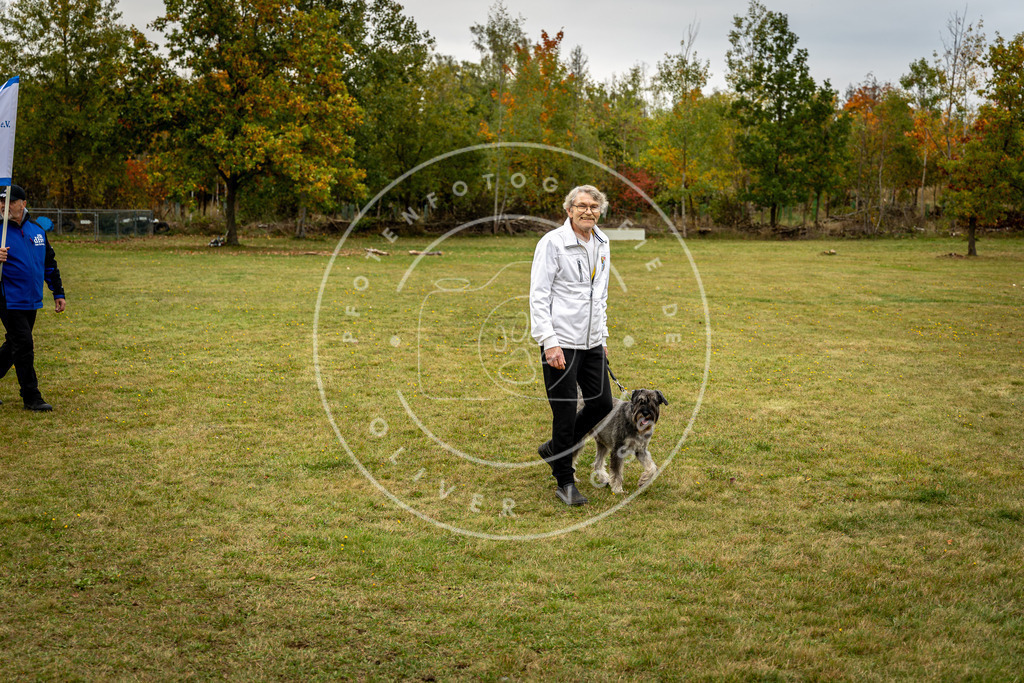 Pfotenfotografie_0L8A0262 | Hundefotografie, Tierfotograf, Pfotenfotografie, Fotoshooting Hund, Hunde Portrait, Hundesport, Hundeportraits, Heideshooting, Hunde, Sportfotograf, Hundefotograf, Turnierhundsport, THS,  - Realisiert mit Pictrs.com