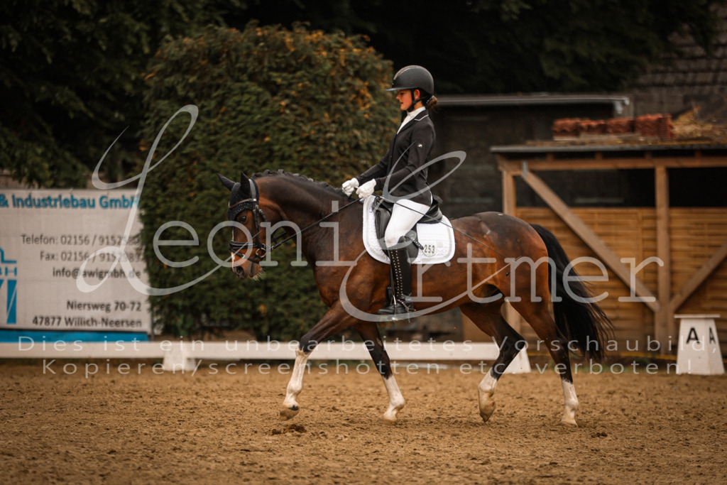 DoDrA00493 | Leoni Ertmer Photography - Realisiert mit Pictrs.com