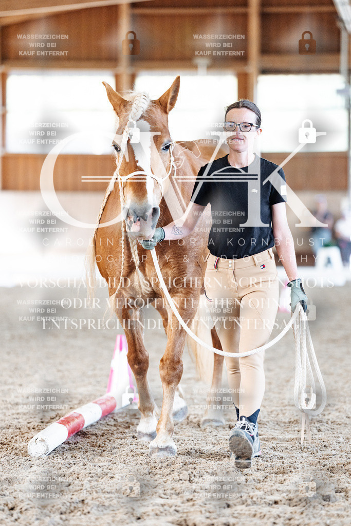 CK905948 | Turnierfotografie Pferdefotografie Trier Rheinland-Pfalz Pferdesport Reitsport Tierfotografie Sportfotografie Pferdevideo Pferdevideografie Equestrianvideography equestrianphotography  - Realisiert mit Pictrs.com
