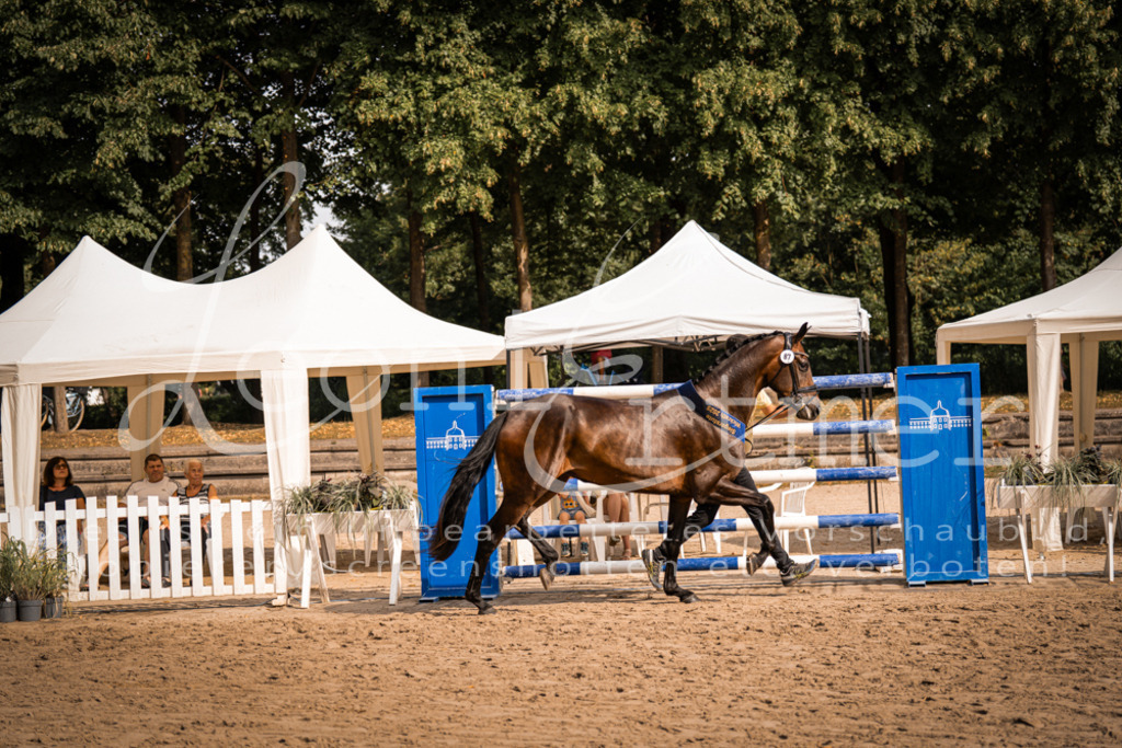 FrER00252 | Leoni Ertmer Photography - Realisiert mit Pictrs.com