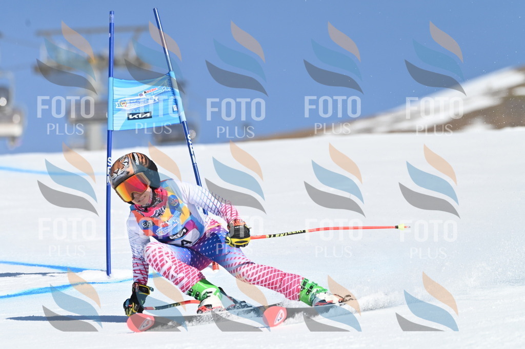 BGV_7551 | holidayphoto