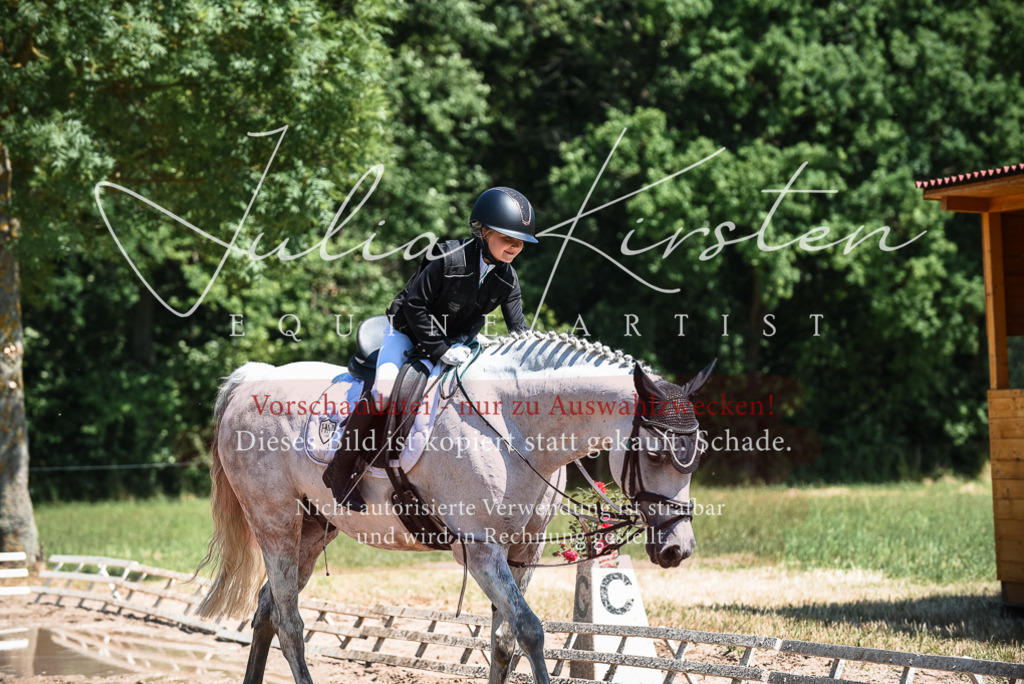 DSC_3142 | Pferde- und Turnierfotografie in Westsachsen. Pferdeportraits, Auftragszeichnungen und intuitive Kunst.