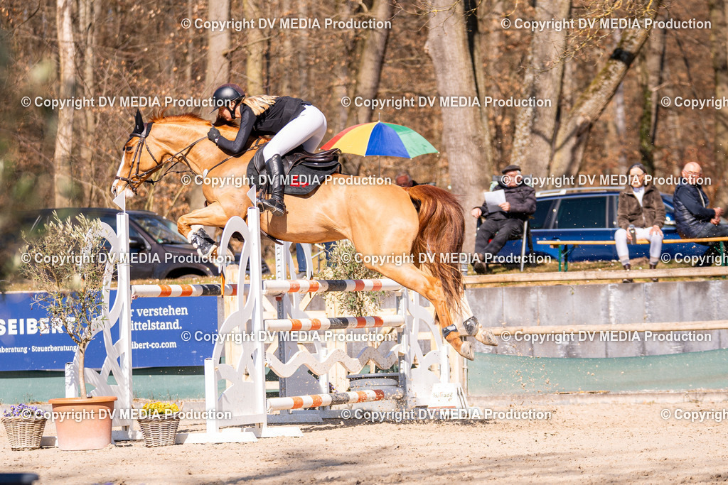 Kranichstein Tag 2-805 | dv-media-shop - Realisiert mit Pictrs.com