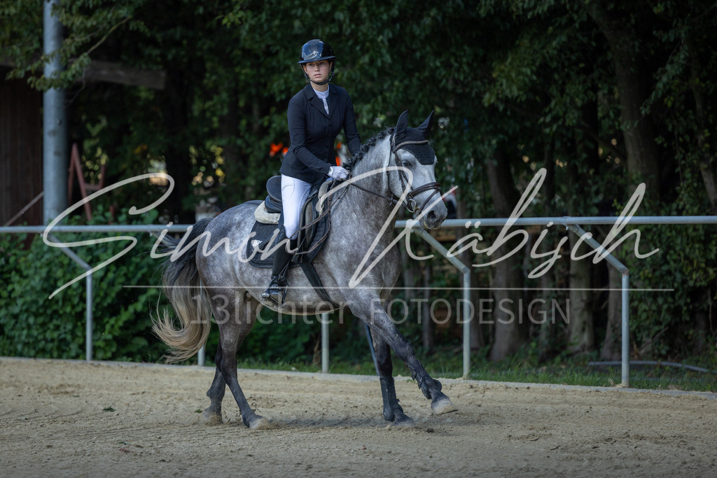 20260905-_3LI8453 | Tierfotografie Pferde, Hunde, Katzen, Haustiere.
Turnierfotografie Reitturniere, Reiten, Springreiten, Dressur in Hanau, dem Main-Kinzig-Kreis und dem Rhein-Main- Gebiet um Frankfurt