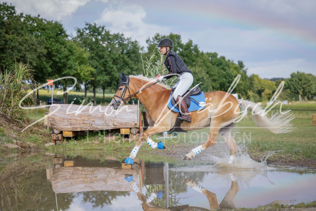 20250905-_3LI1105 | Tierfotografie Pferde, Hunde, Katzen, Haustiere.
Turnierfotografie Reitturniere, Reiten, Springreiten, Dressur in Hanau, dem Main-Kinzig-Kreis und dem Rhein-Main- Gebiet um Frankfurt