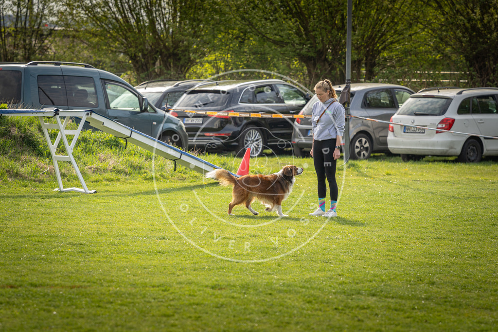 Pfotenfotografie_DV3A4964 | Hundefotografie, Tierfotograf, Pfotenfotografie, Fotoshooting Hund, Hunde Portrait, Hundesport, Hundeportraits, Heideshooting, Hunde, Sportfotograf, Hundefotograf, Turnierhundsport, THS,  - Realisiert mit Pictrs.com