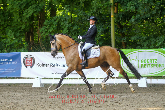 DKP42498 | Turniersportfotografie; Pferdefotografie; Dressurfotografie