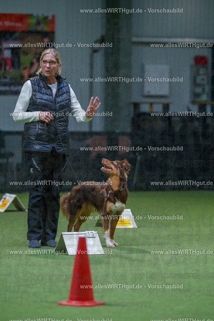 7R501366 | Professionelle Tierfotografie in Mönchengladbach von Daniel Wirth (allesWIRTHgut). Liebevolle & natürliche Bilder von Hunden & Katzen für unvergessliche Erinnerungen.