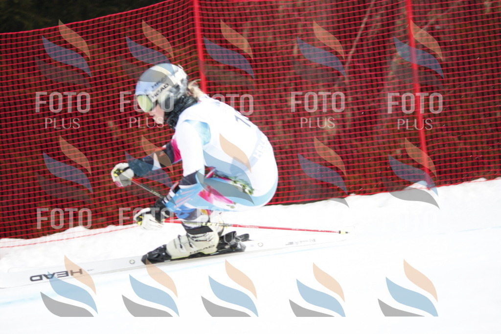 D4841 | holidayphoto