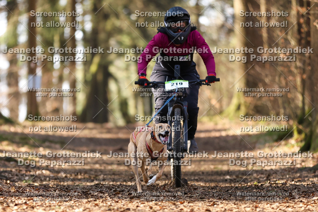 Dog Paparazzi - VCC26-1058 | Dog Paparazzi Jeanette Grottendiek Fotografie & Videografie - Realisiert mit Pictrs.com