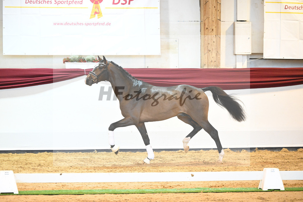 Kat-Nr. 59 v. Zalando_Kuntz_66222228 | hf-fotografie - Realisiert mit Pictrs.com