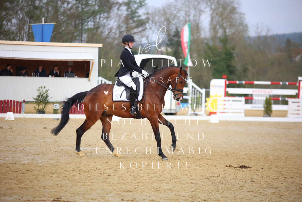 IMGT7983 | pl-fotografie