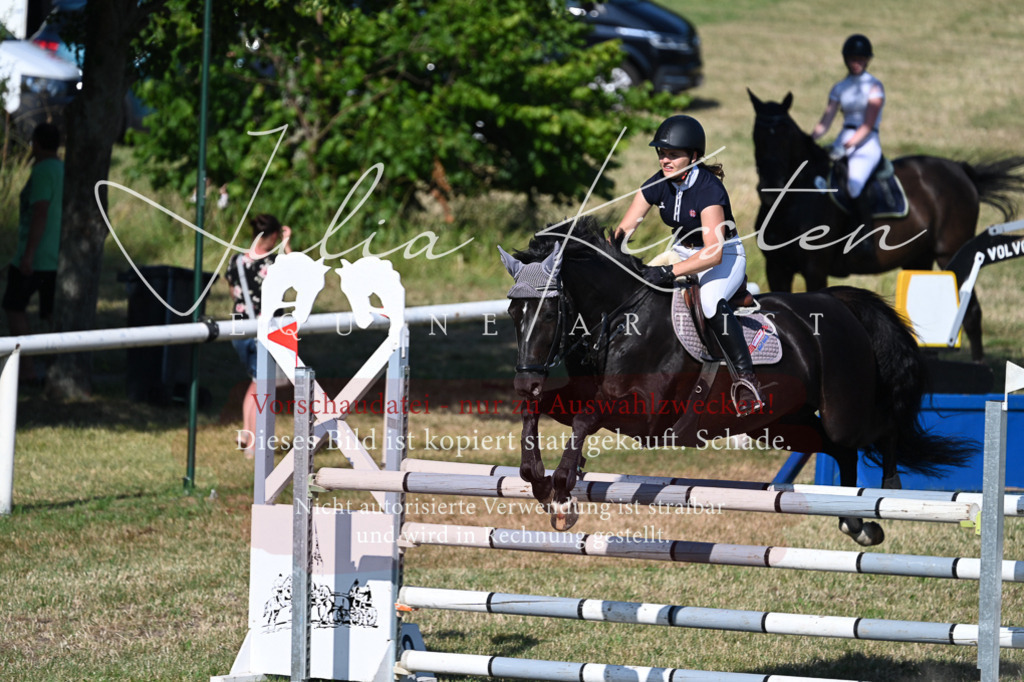 DSC_2483 | Pferde- und Turnierfotografie in Westsachsen. Pferdeportraits, Auftragszeichnungen und intuitive Kunst.