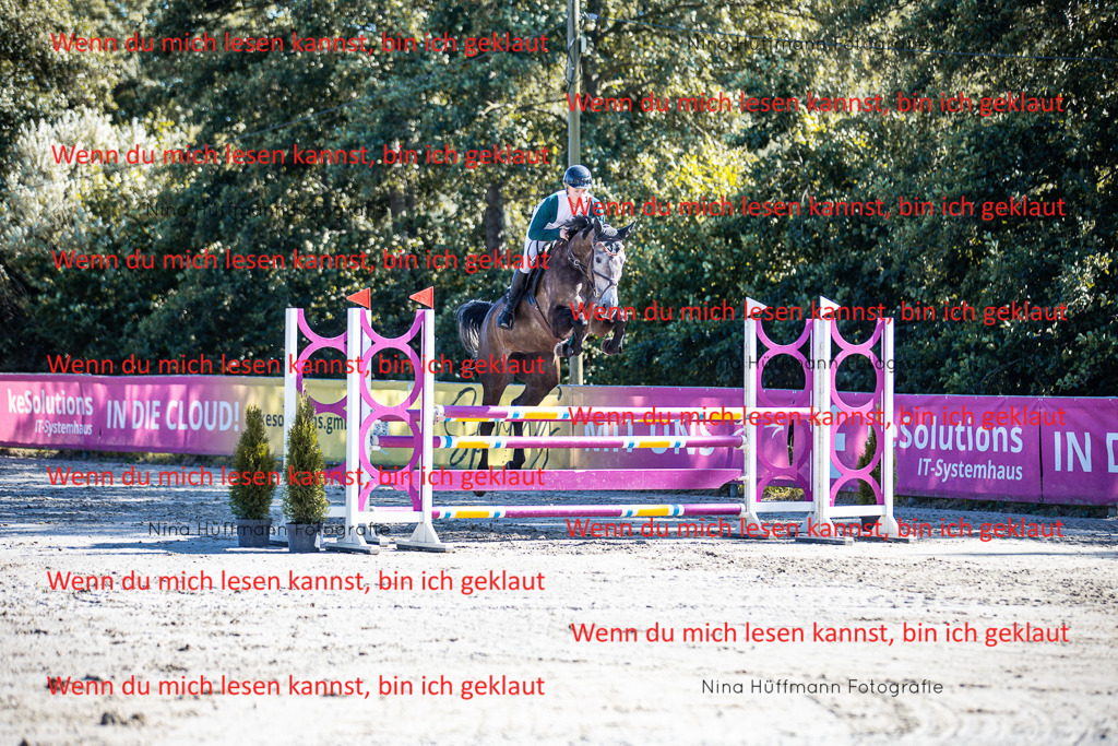 BK1A5744 | Turnierbilder Turnierfotos Nina Hüffmann Turnierfotografie Pferdefotografie Tierzeichnung Haustierzeichnung Pferdezeichnung Hundezeichnung Videograf  - Realisiert mit Pictrs.com