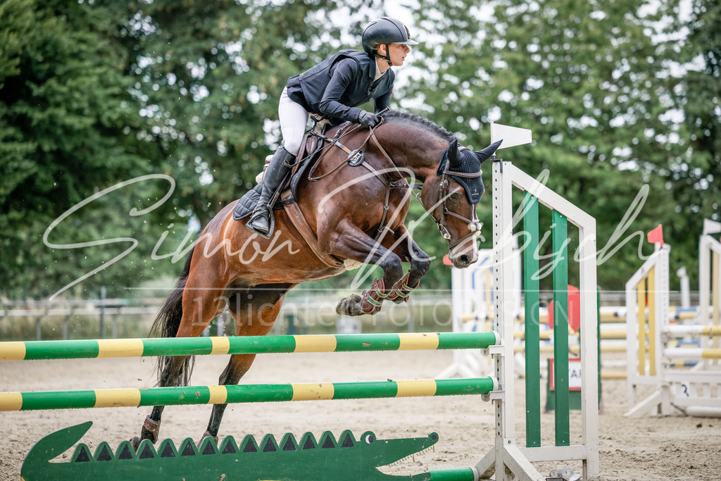 20250706-_3LI2876 | Tierfotografie Pferde, Hunde, Katzen, Haustiere.
Turnierfotografie Reitturniere, Reiten, Springreiten, Dressur in Hanau, dem Main-Kinzig-Kreis und dem Rhein-Main- Gebiet um Frankfurt