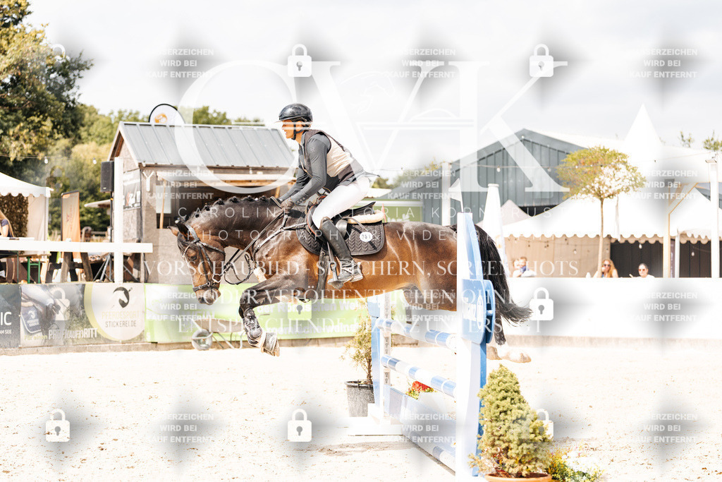 CK909240 | Turnierfotografie Pferdefotografie Trier Rheinland-Pfalz Pferdesport Reitsport Tierfotografie Sportfotografie Pferdevideo Pferdevideografie Equestrianvideography equestrianphotography  - Realisiert mit Pictrs.com