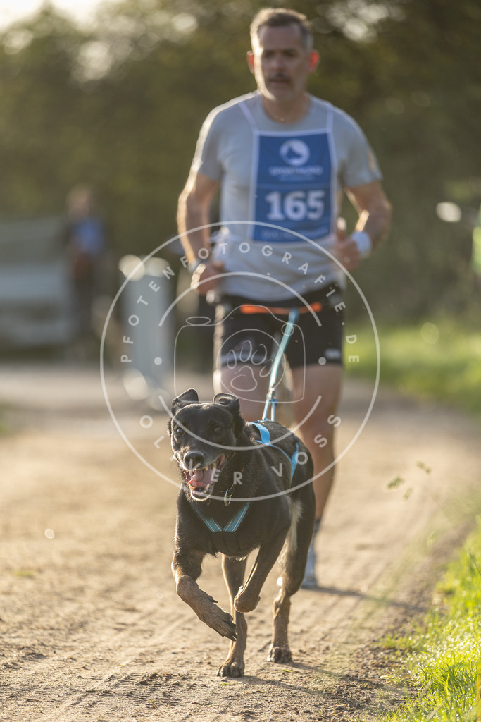 Pfotenfotografie.de_DV3A2656 | Hundefotografie, Tierfotograf, Pfotenfotografie, Fotoshooting Hund, Hunde Portrait, Hundesport, Hundeportraits, Heideshooting, Hunde, Sportfotograf, Hundefotograf, Turnierhundsport, THS, canicross - Realisiert mit Pictrs.com