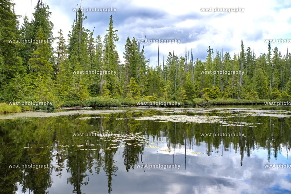 Beaver Lake - CAN 2023 | west photography - Realisiert mit Pictrs.com