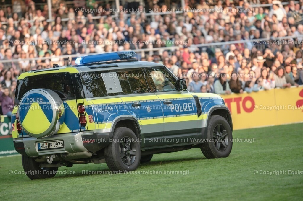 20230526_Pferdenacht_0332 | equistock