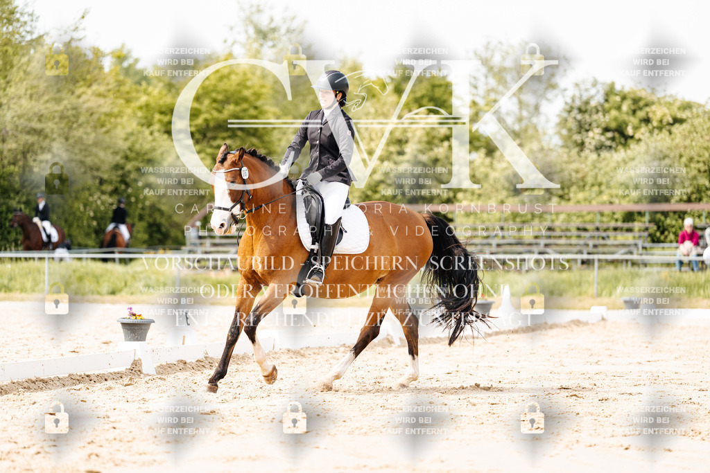 CK901261 | Turnierfotografie Pferdefotografie Trier Rheinland-Pfalz Pferdesport Reitsport Tierfotografie Sportfotografie Pferdevideo Pferdevideografie Equestrianvideography equestrianphotography  - Realisiert mit Pictrs.com