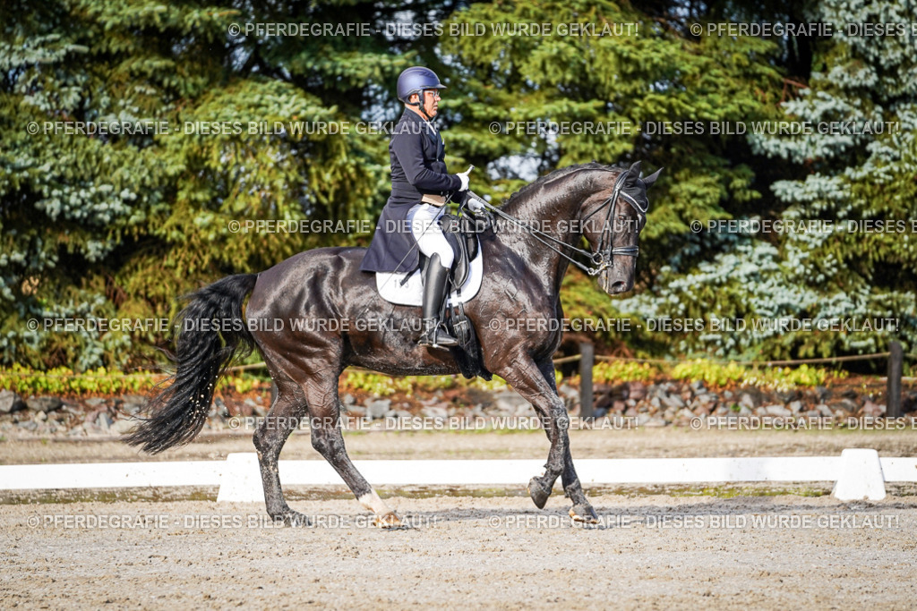 DSC00503 | Pferdegrafie