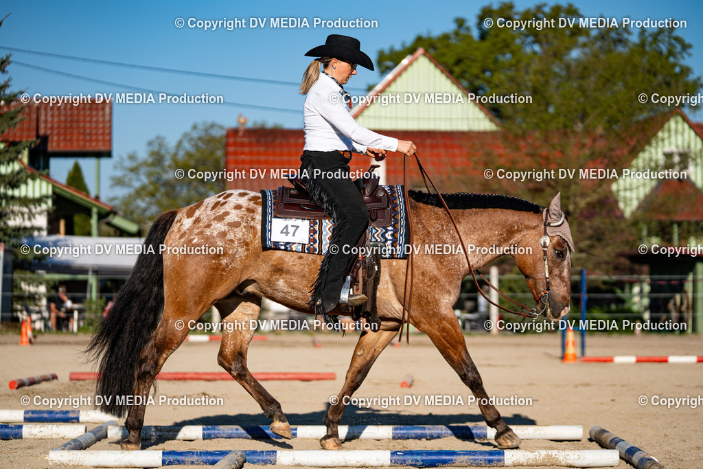 Balingen Tag 1-560 | dv-media-shop - Realisiert mit Pictrs.com