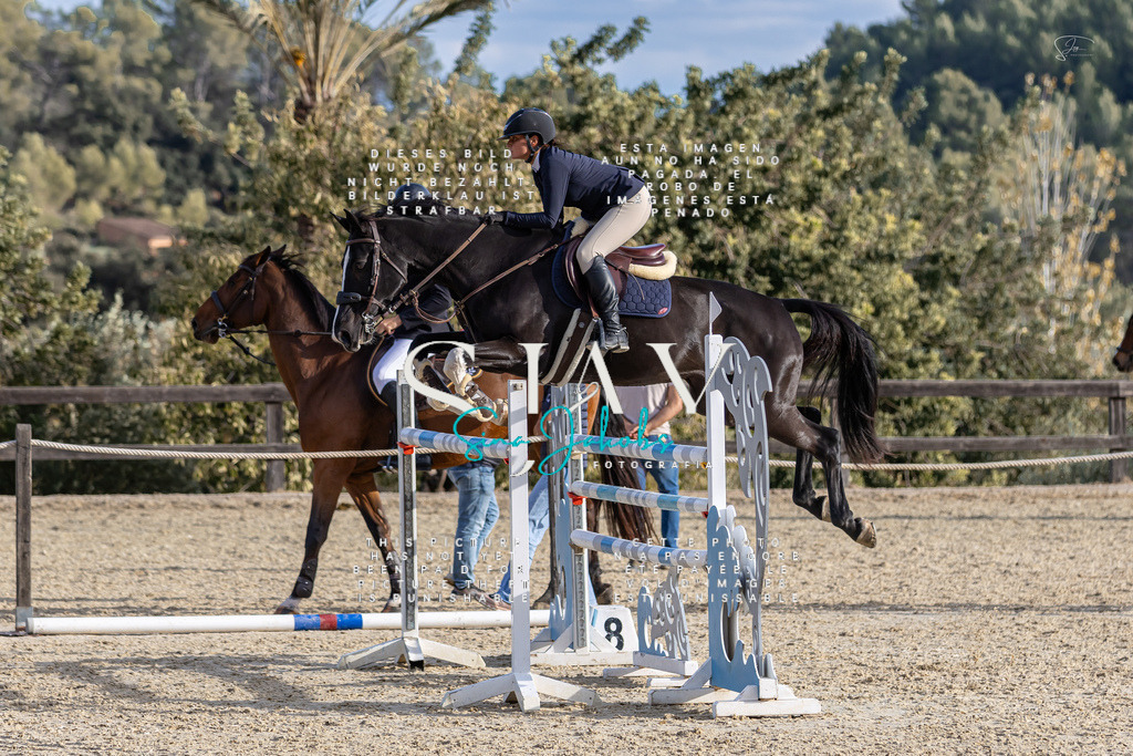 IMG_0493 | s-jay-photography - Realisiert mit Pictrs.com