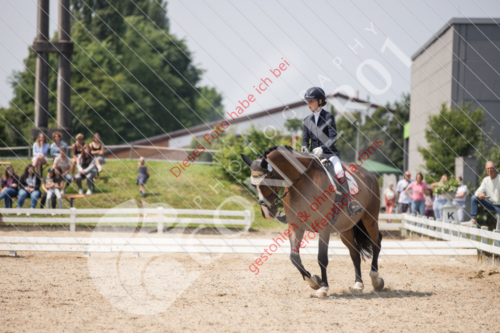 IMG_3842 | Sport-, Event- und Tierfotos in Profiqualität. Einfach auswählen, bestellen und herunterladen. Dein Moment – perfekt festgehalten.