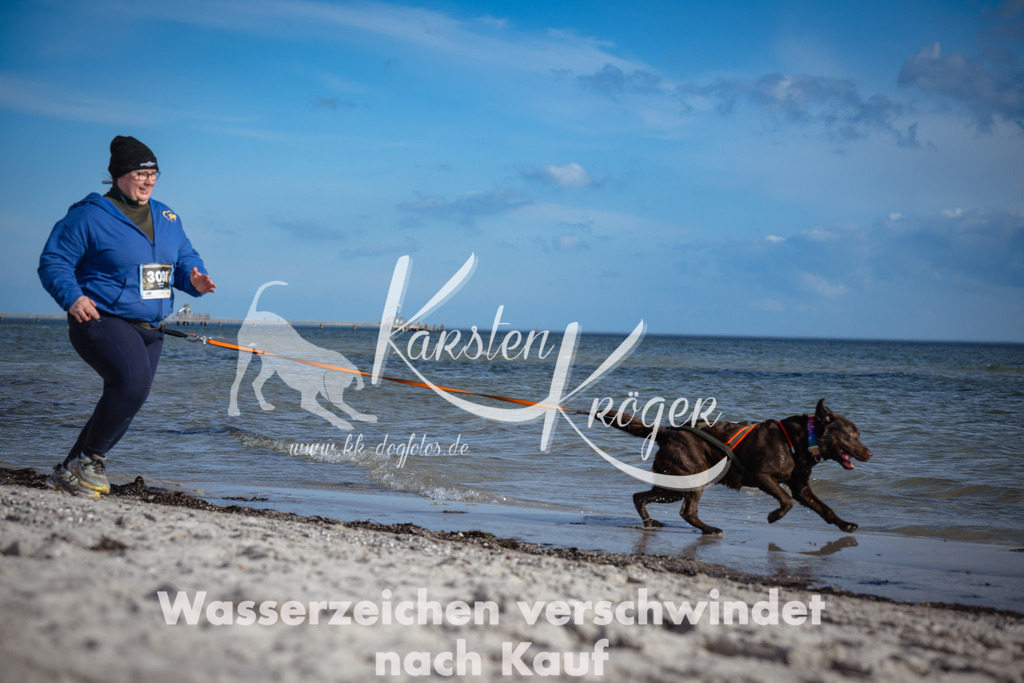 1334_ZZ92027 | kk-dogfotos