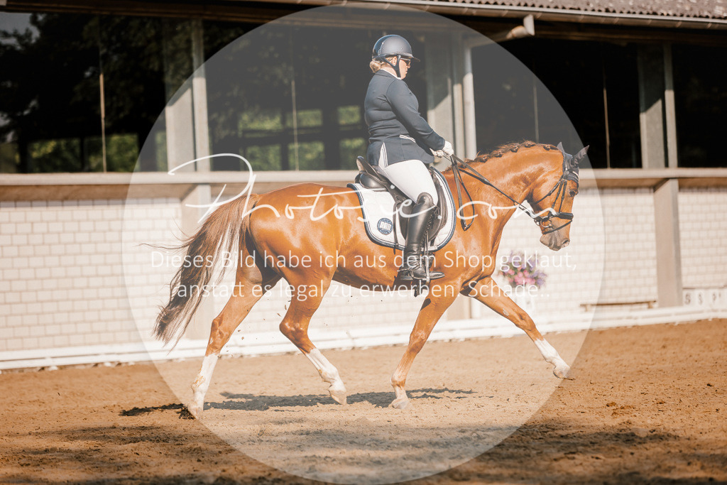 3I6A8772 | Stimmungsvolle Portraits und Reitsportfotografie im Ruhrgebiet und im Münsterland.

Pferdefotografie, Hundefotografie, Tierfotografie, Reportagen, Portraits von Tier und Mensch, Turnierfotografie in Bochum, Recklinghausen, Marl, Haltern am See, Dülmen.. - Realisiert mit Pictrs.com