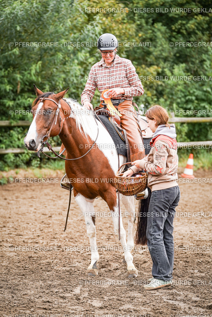 DSC04231 | Pferdegrafie