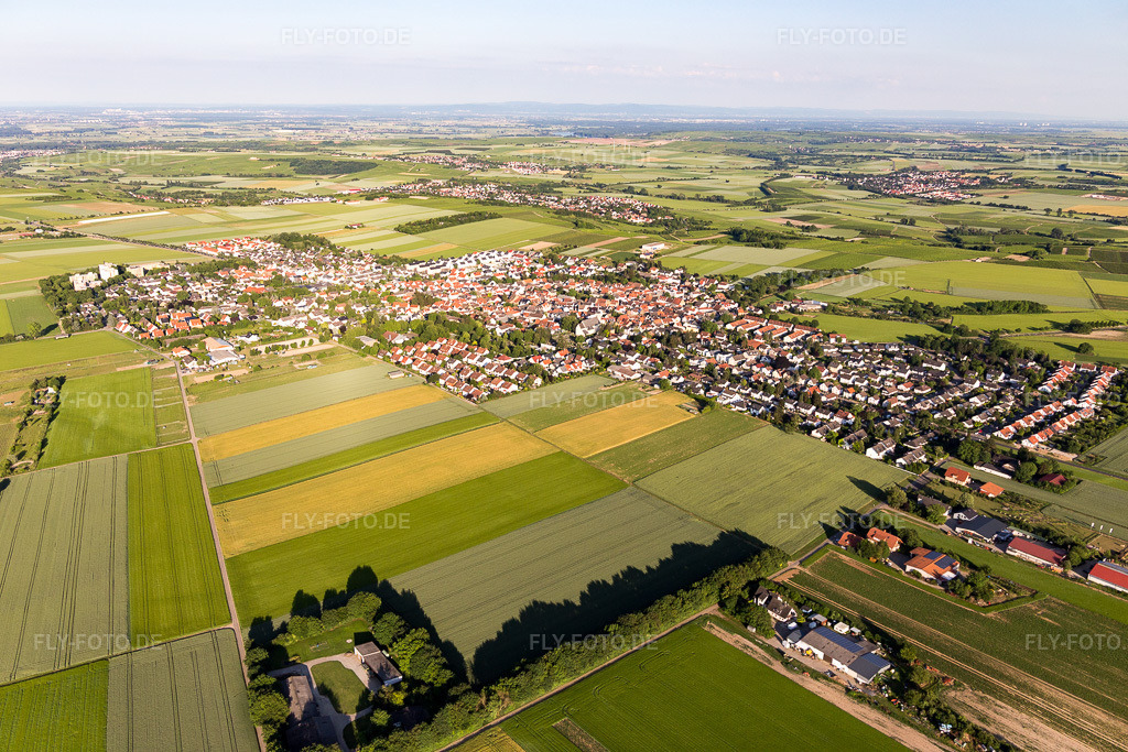 Luftbild: Ortsansicht am Rande von landwirtschaftlichen Feldern und Nutzflächen-Ebersheim im Ortsteil Ebersheim in Mainz im Bundesland Rheinland-Pfalz in Deutschland. Foto: IMG_107632.jpg vom 03.06.2018 durch Werner Riehm/FLY-FOTO.de