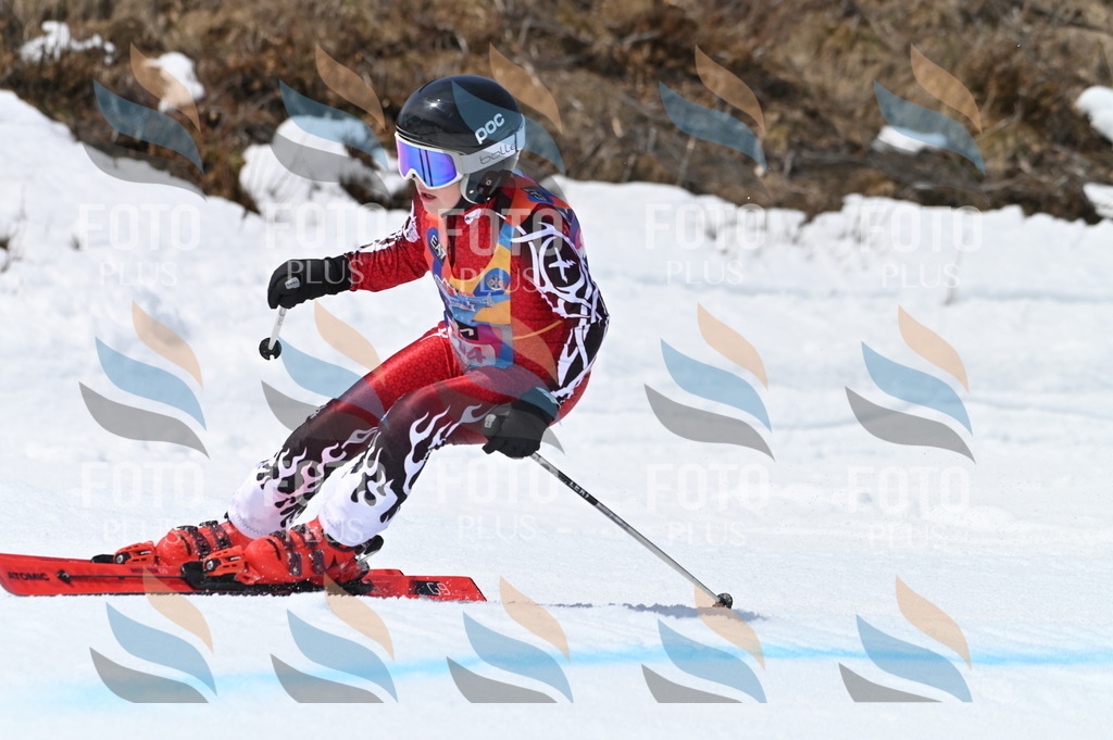 BGV_3733 | holidayphoto