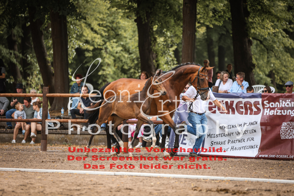 SaFohlen00268 | Leoni Ertmer Photography - Realisiert mit Pictrs.com