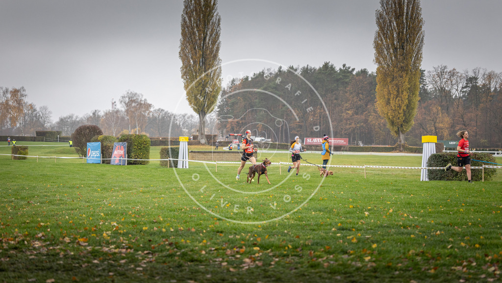 CaniXpix_DV3A8887 | Hundefotografie, Tierfotograf, Pfotenfotografie, Fotoshooting Hund, Hunde Portrait, Hundesport, Hundeportraits, Heideshooting, Hunde, Sportfotograf, Hundefotograf, Turnierhundsport, THS,  - Realisiert mit Pictrs.com