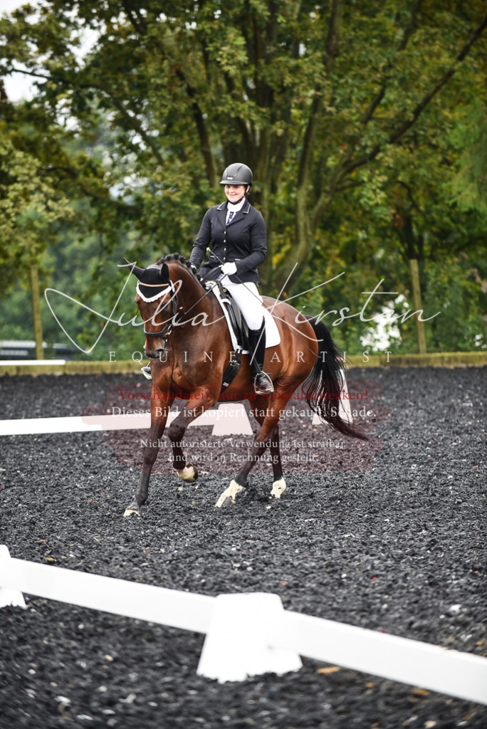 DSC_2712 | Pferde- und Turnierfotografie in Westsachsen. Pferdeportraits, Auftragszeichnungen und intuitive Kunst.