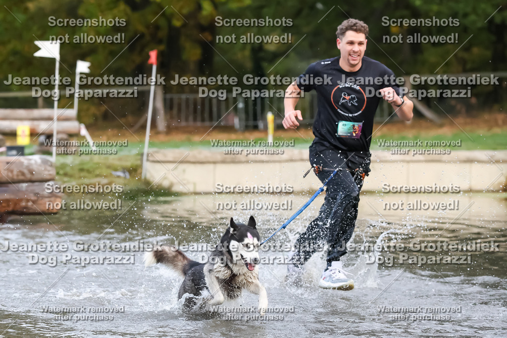 Dog Paparazzi - Strongdog 10-25-6212 | Dog Paparazzi Jeanette Grottendiek Fotografie & Videografie - Realisiert mit Pictrs.com