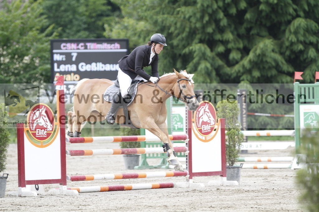 _MG_6380 | equestrian-live-com