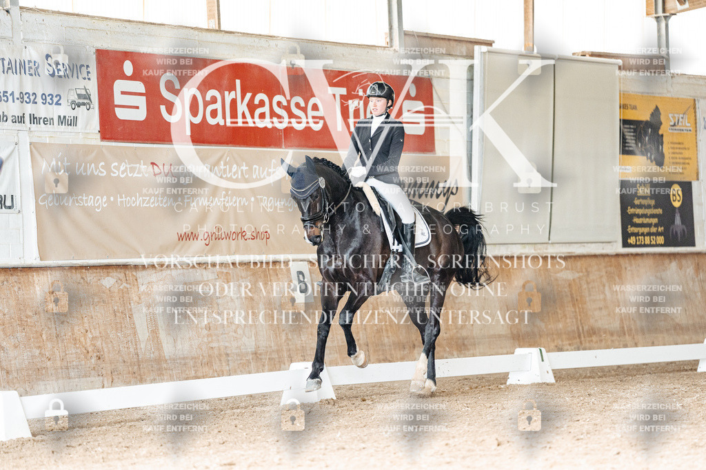 CK901873 | Turnierfotografie Pferdefotografie Trier Rheinland-Pfalz Pferdesport Reitsport Tierfotografie Sportfotografie Pferdevideo Pferdevideografie Equestrianvideography equestrianphotography  - Realisiert mit Pictrs.com