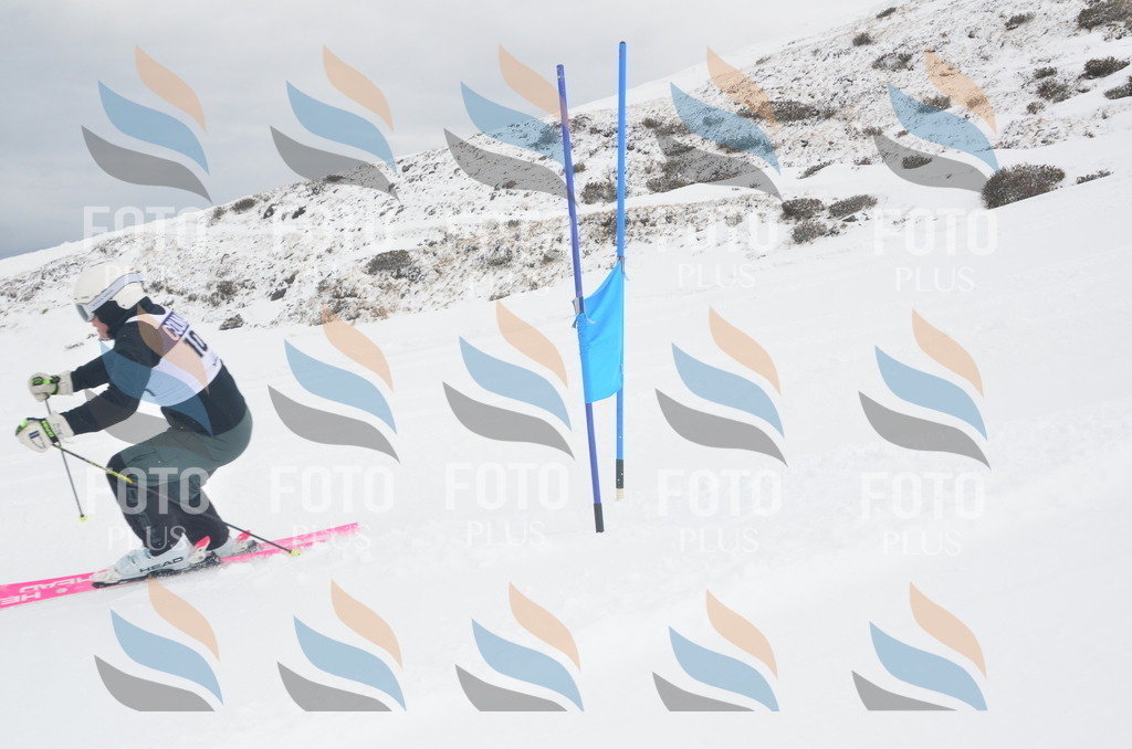 A5895 | holidayphoto