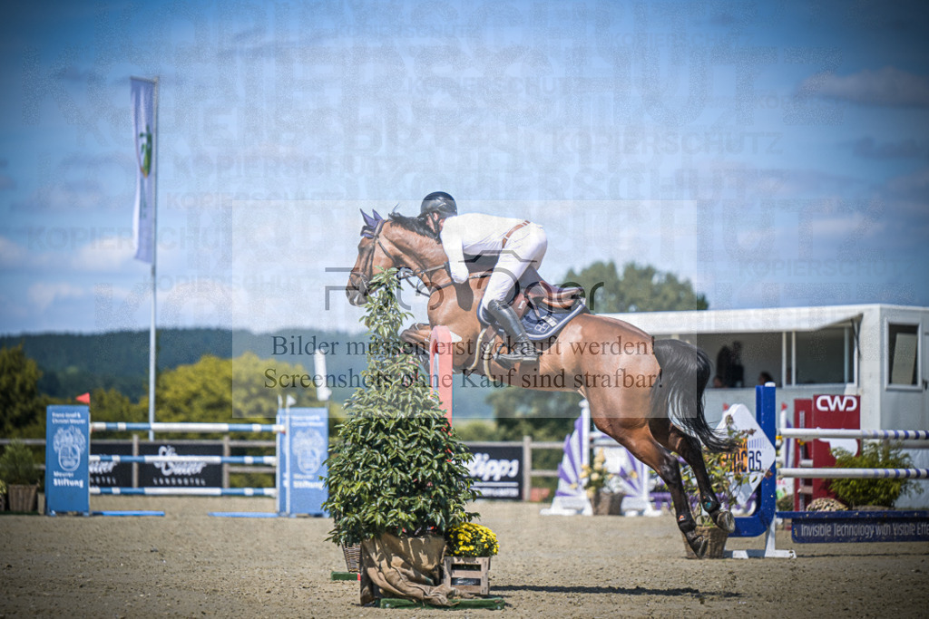 DOS_4602 | Entdecke hochwertige Reitturnierfotos von Foto Oger. Professionell, emotional und authentisch – jetzt Lieblingsmomente im Shop bestellen.Deutschlandweite Turnierfotografie. - Realisiert mit Pictrs.com
