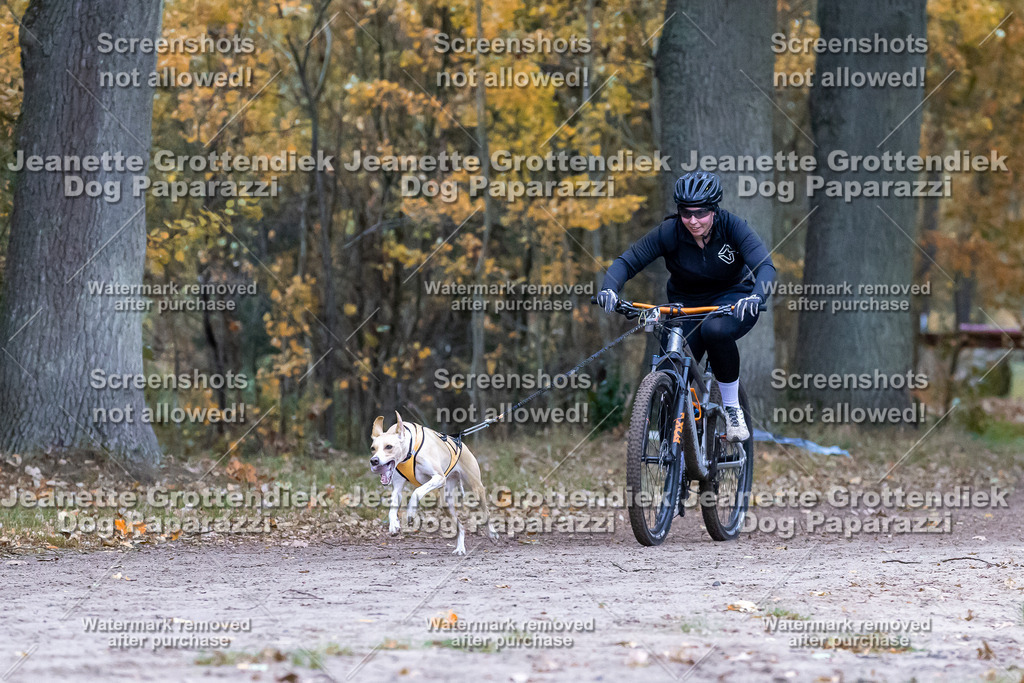 Dog Paparazzi - SD CaniX Championship 2025-241 | Dog Paparazzi Jeanette Grottendiek Fotografie & Videografie - Realisiert mit Pictrs.com